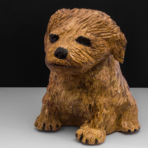 Kleine Hond