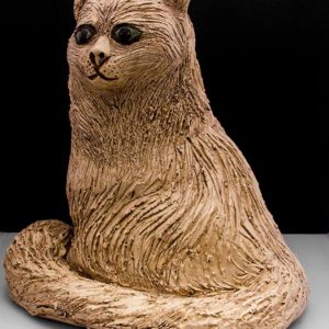 Witte Kat